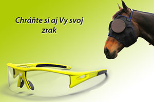 Prečo nosiť ochranné florbalové okuliare?