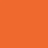 Chic Orange