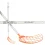 Exel E-Fast 2.9 Round White/Orange