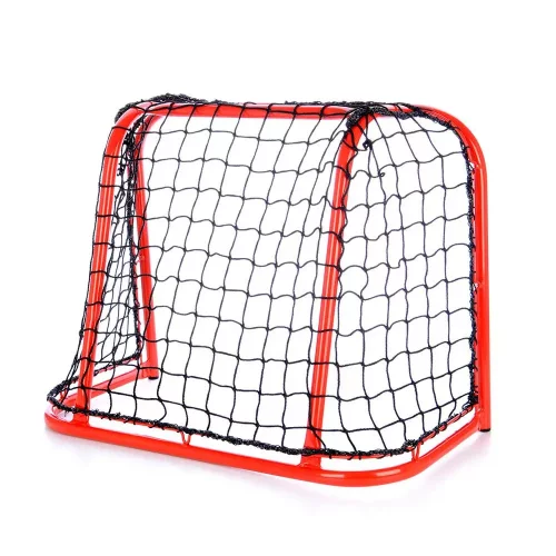 Floorball goal 60x45 cm + net
