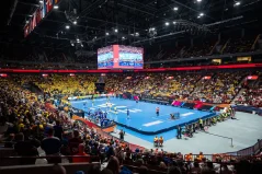 Bandy do unihokeja SWERINK