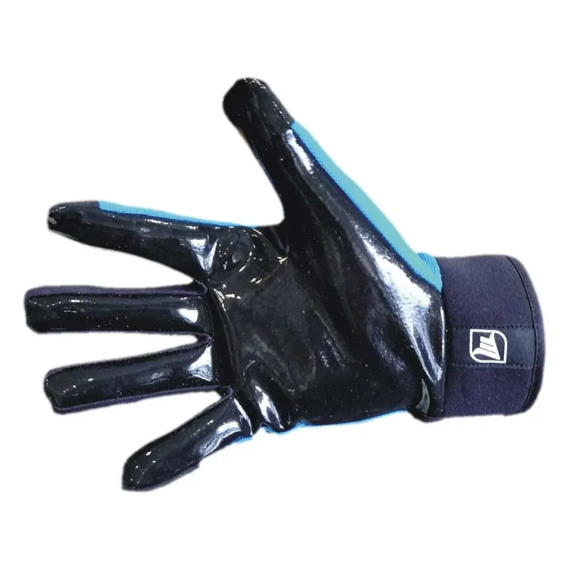 MPS EVO PG Blue/Black goalie gloves