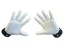 MPS EVO PG White goalie gloves