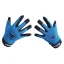 MPS EVO PG Blue/Black goalie gloves